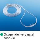 Nasal Oxygen Cannula